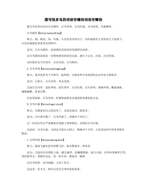 描写很多鸟的词语有哪些词语有哪些