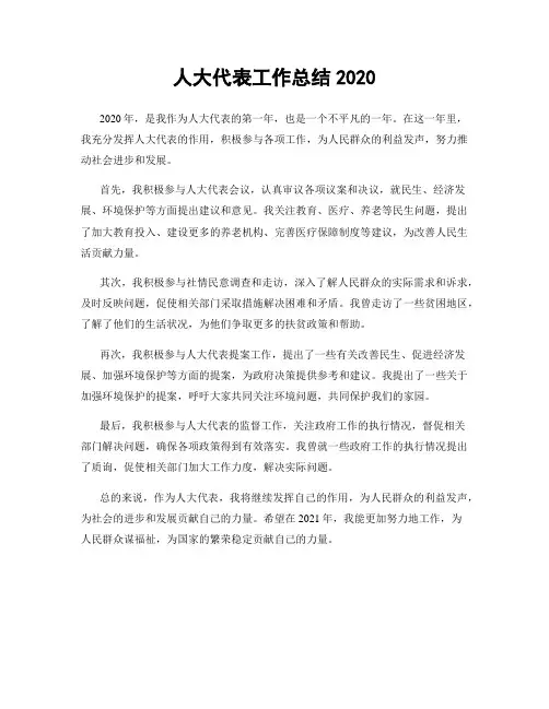 人大代表工作总结2020