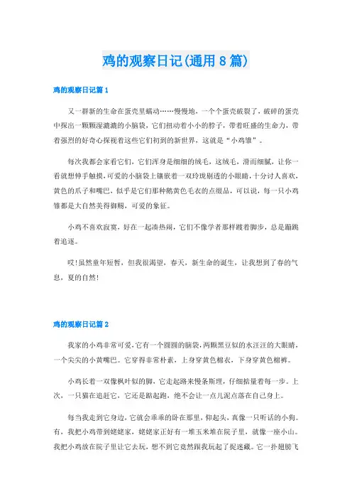 鸡的观察日记(通用8篇)