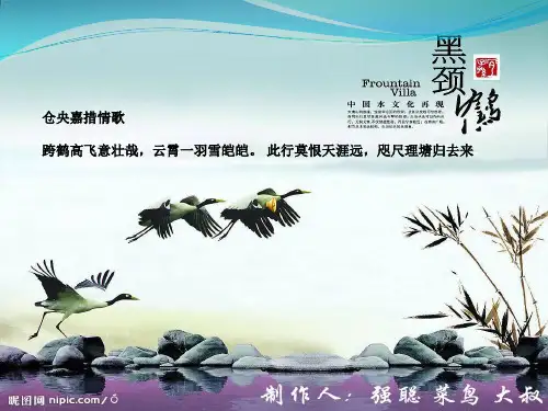 黑颈鹤
