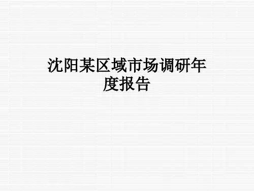 沈阳某区域市场调研年度报告