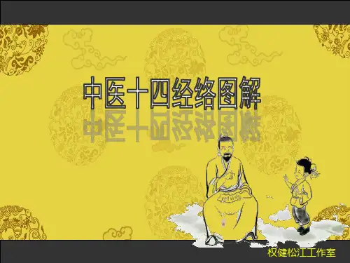 中医十四经络图解