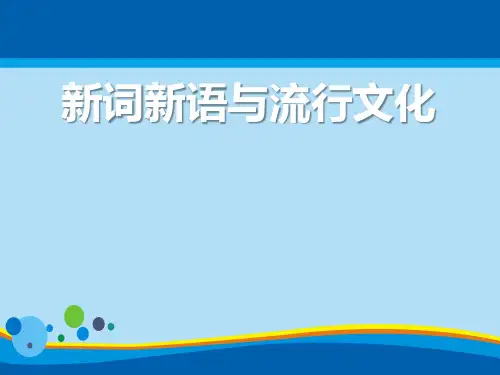 《新词新语与流行文化》PPT课件【精选推荐课件】