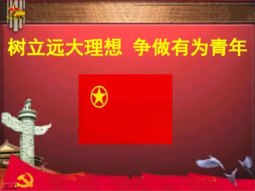 树立远大理想 争做有为青年.ppt