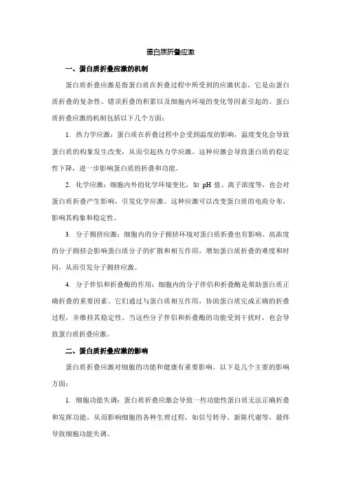 蛋白质折叠应激