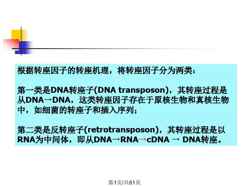 微生物中转座因子