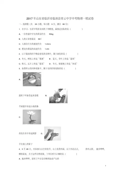 山东省临沂市临沭县2017年中考物理一模试卷(含解析)