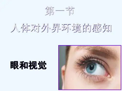 生物人教版七年级下册眼和视觉 PPT