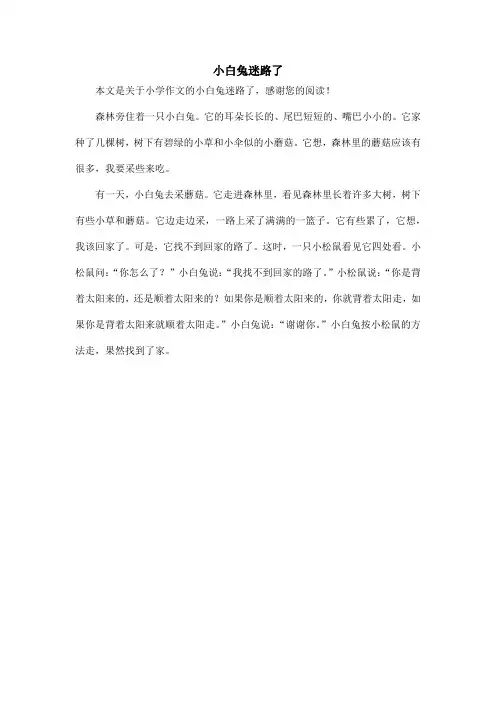 小白兔迷路了_小学作文