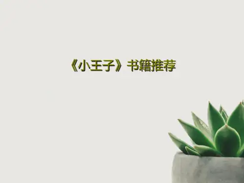 《小王子》书籍推荐共33页文档