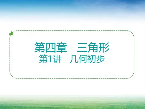 2018年广东中考数学复习课件-几何初步