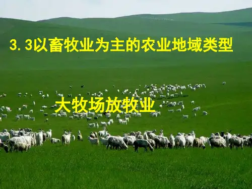 大牧场放牧业公开课ppt课件