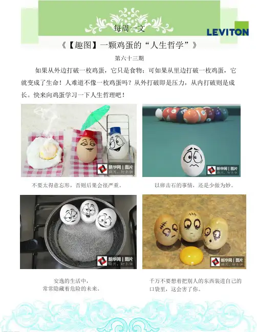 一颗鸡蛋的“人生哲学”