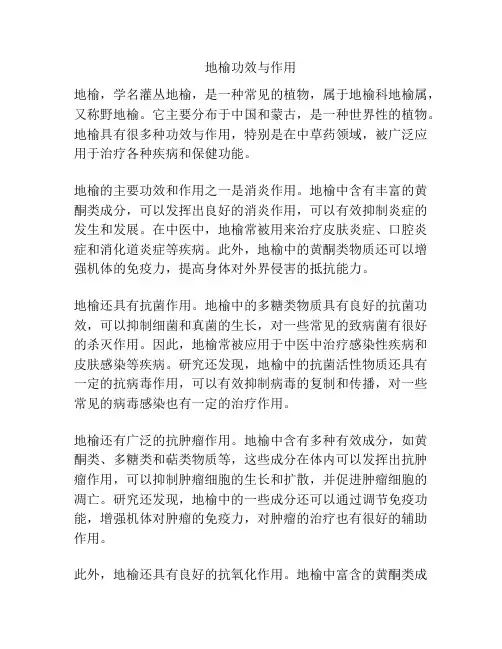 地榆功效与作用