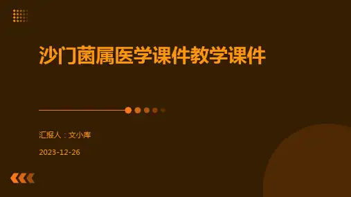 沙门菌属医学课件教学课件