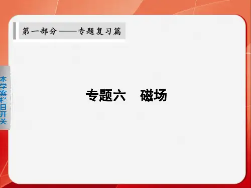 2014高考物理大二轮专题复习课件：磁场对电流和运动电荷的作用