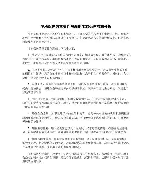 湿地保护的重要性与湿地生态保护措施分析