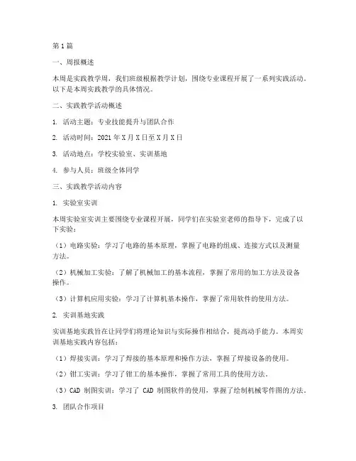 实践教学周报(3篇)