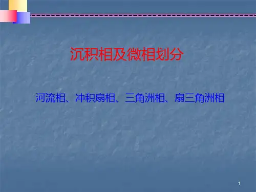 沉积相及微相划分ppt课件