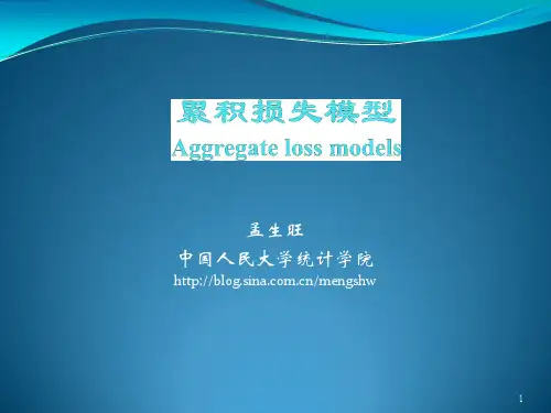 04  累积损失模型
