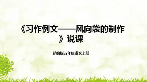 部编版五年级语文上册第五单元《习作例文——风向袋的制作》说课课件 (共24张PPT)