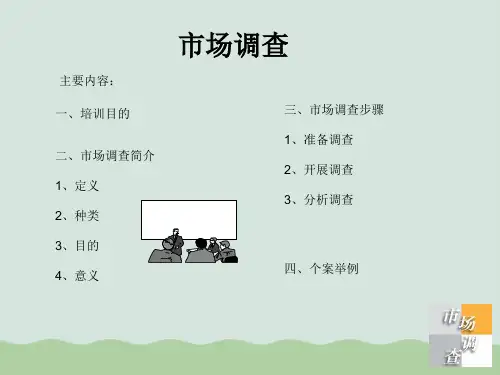 市场调查概述PPT(共31页)