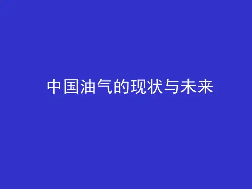中国油气的现状与未来概要