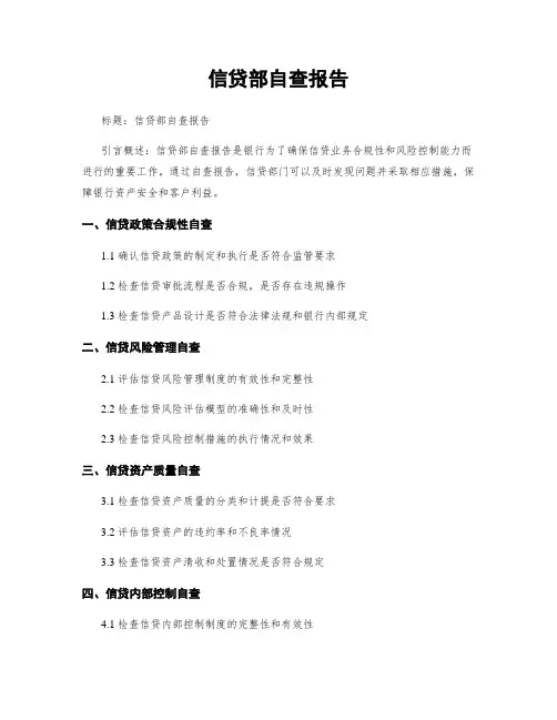 信贷部自查报告