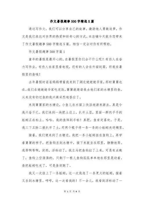 作文暑假趣事500字精选5篇