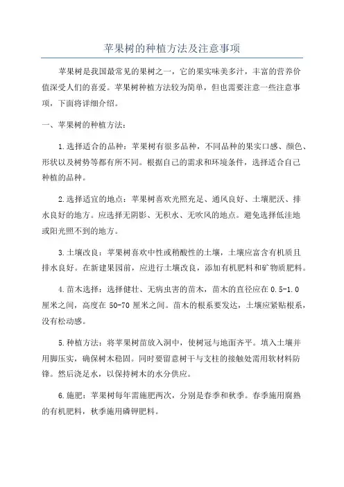 苹果树的种植方法及注意事项
