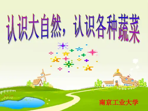 认识大自然认识各种蔬菜资料