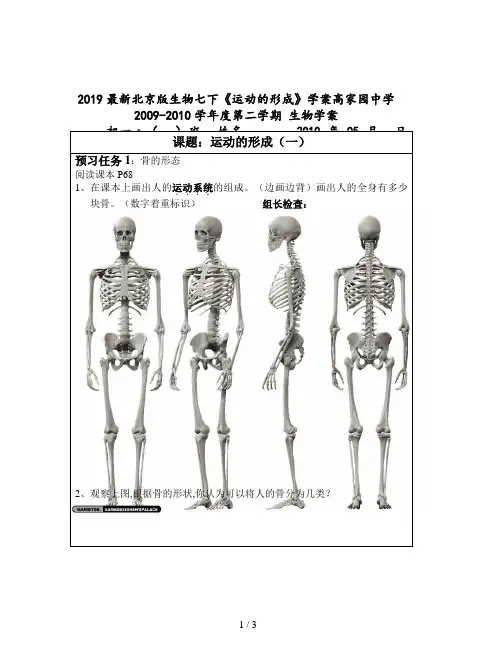 2019最新北京版生物七下《运动的形成》学案