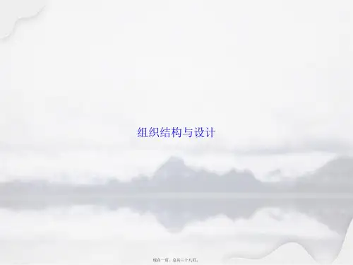 组织结构与设计讲课文档