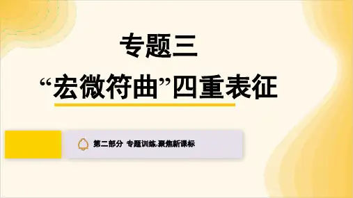  2024年广东省中考化学二轮专题复习三“宏微符曲”四重表征课件