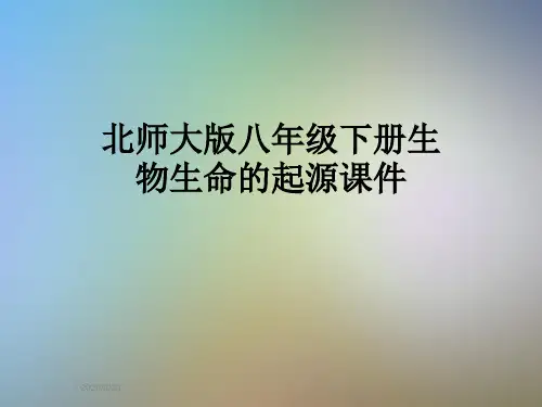 北师大版八年级下册生物生命的起源课件
