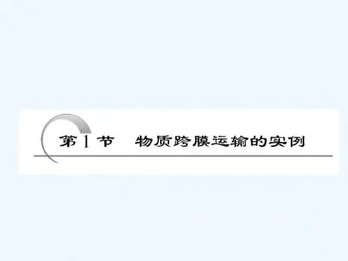 2011年高考生物一轮复习同步课件必修1：第4章 第1节 物质跨膜运输的实例