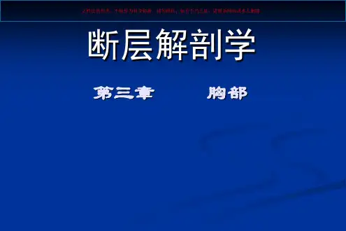 胸部横断层解剖课件