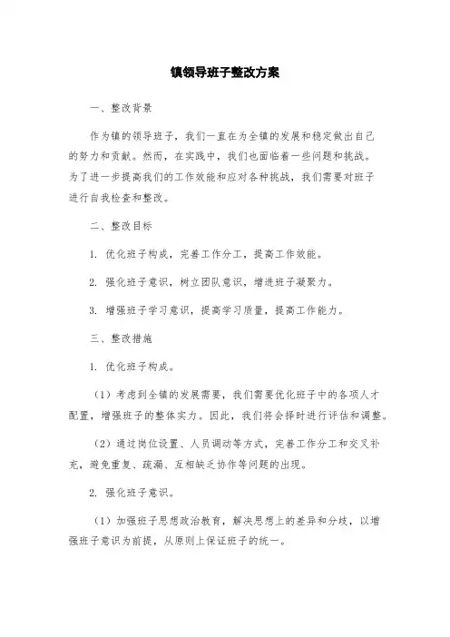 镇领导班子整改方案