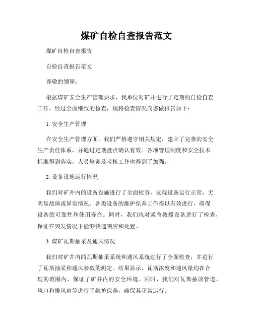 煤矿自检自查报告范文