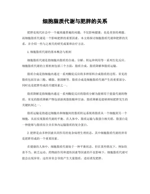 细胞脂质代谢与肥胖的关系