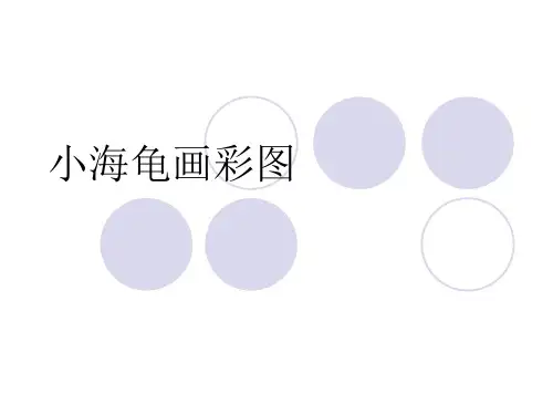小学信息课 第四课：小海龟画彩图