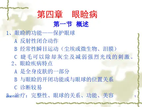 眼睑病-PPT课件