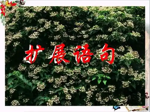 高考复习扩展语句 PPT精品课件116