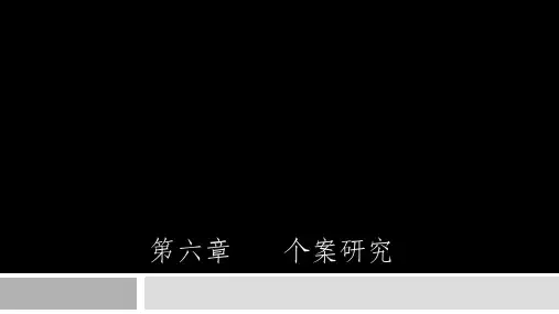 个案研究