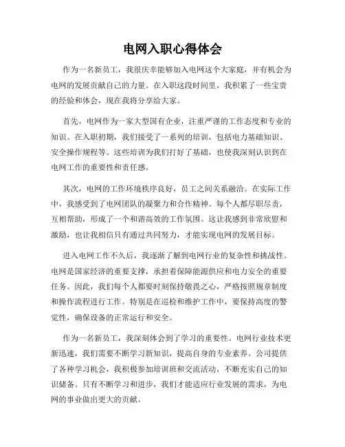 电网入职心得体会