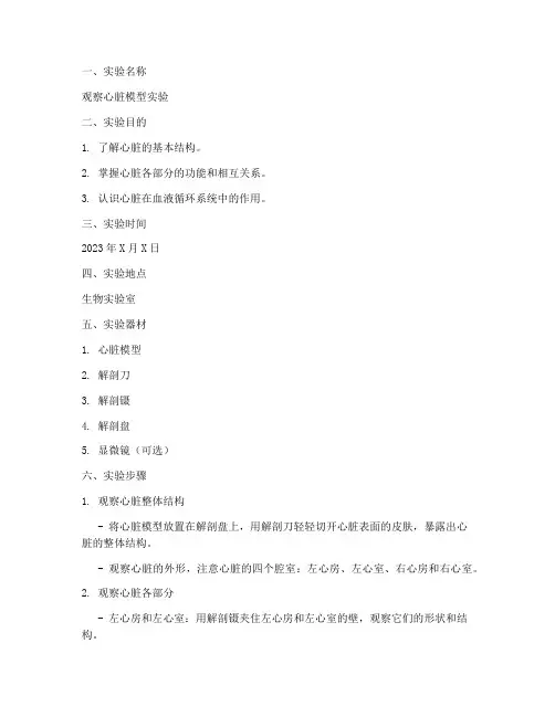 观察心脏模型实验报告