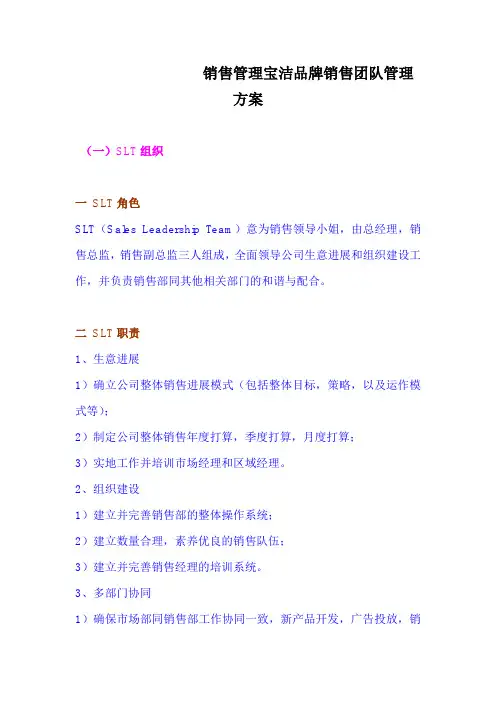 销售管理宝洁品牌销售团队管理方案
