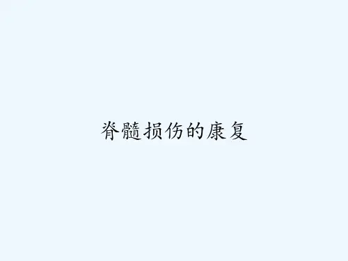 脊髓损伤的康复ppt