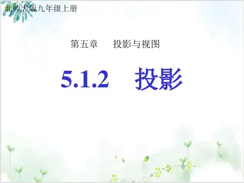 《投影与视图_公开课课件人教版1