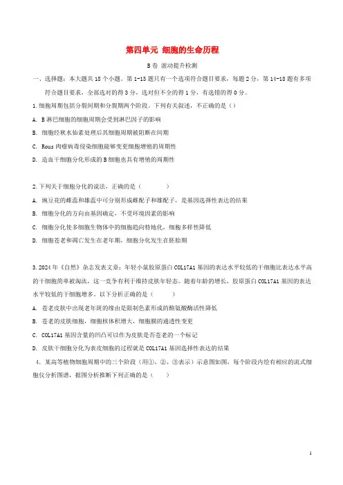 2025届高考生物一轮复习双优单元滚动双测卷细胞的生命历程B卷